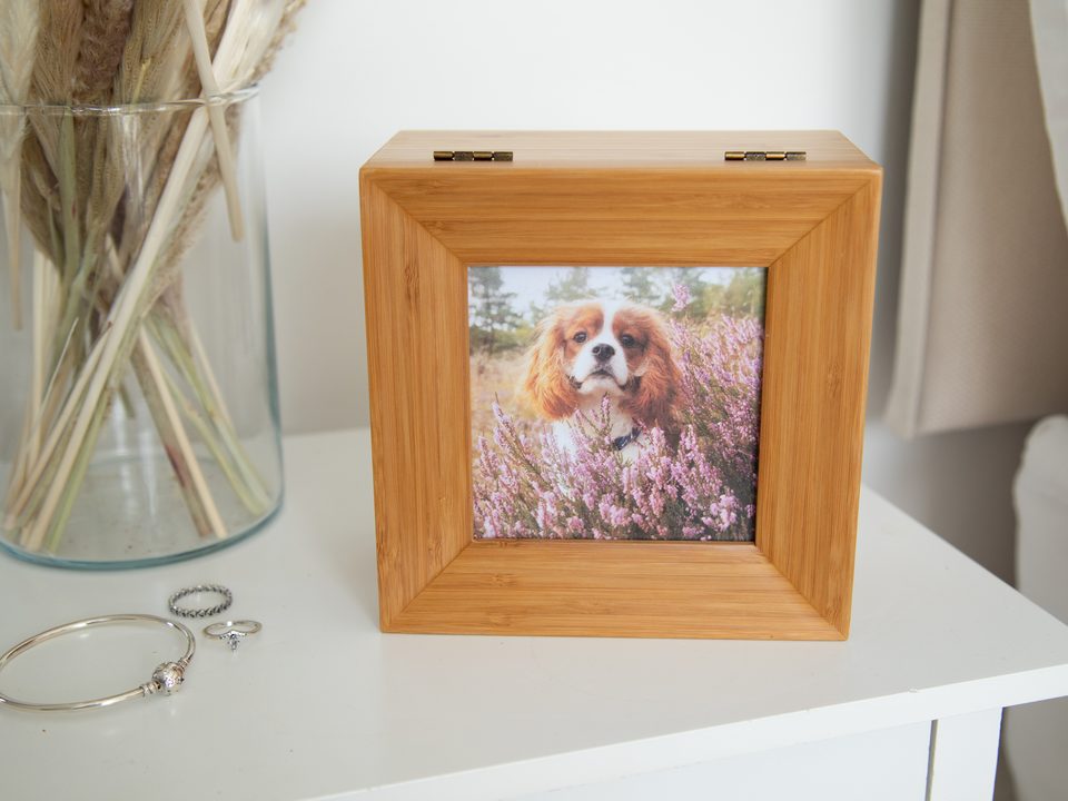 A Tribute Box casket on a bedside table, with a photograph set into the lid