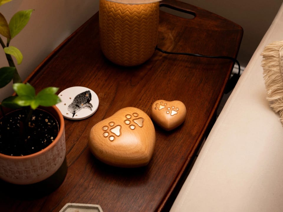 Heart and contemporary urns
