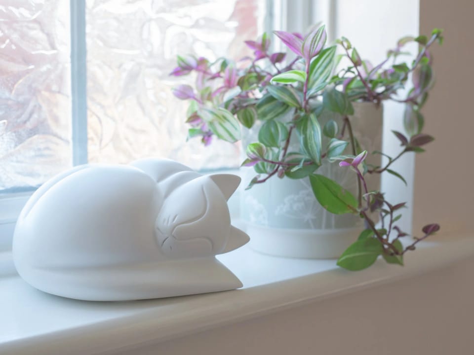 Cat urns